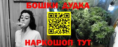 гидропоника Кингисепп